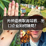 光伏退税取消背后,出口企业如何破局?(图1) 光伏退税取消背后,出口企业如何破局?(图1)