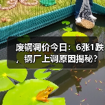 废钢调价今日:6涨1跌,钢厂上调原因揭秘?(图4) 废钢调价今日:6涨1跌,钢厂上调原因揭秘?(图4)