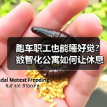 跑车职工也能睡好觉？数智化公寓如何让休息更高效