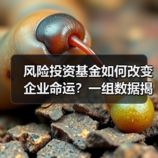 风险投资基金如何改变企业命运?一组数据揭示87.3%的颠覆性创新背后推手(图3) 风险投资基金如何改变企业命运?一组数据揭示87.3%的颠覆性创新背后推手(图3)
