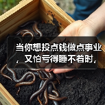 当你想投点钱做点事业，又怕亏得睡不着时，我们该怎么办？