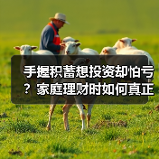 手握积蓄想投资却怕亏？家庭理财时如何真正分散风险