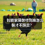 智能家居装修到底怎么装才不踩雷?(图3) 智能家居装修到底怎么装才不踩雷?(图3)