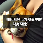 如何避免证券投资中的财务风险?(图2) 如何避免证券投资中的财务风险?(图2)
