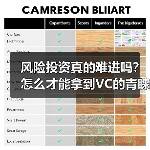 风险投资真的难进吗？怎么才能拿到VC的青睐？
