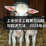 工业安全工程常见问题与解决方法,2026年必看指南(图2) 工业安全工程常见问题与解决方法,2026年必看指南(图2)