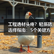 工程选材头疼？轻质砖选择指南：5个关键方法与注意事项