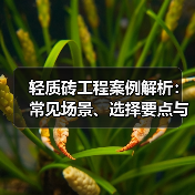 轻质砖工程案例解析:常见场景、选择要点与注意事项(图1) 轻质砖工程案例解析:常见场景、选择要点与注意事项(图1)