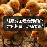 轻质砖工程案例解析：常见场景、选择要点与注意事项