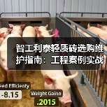 智工利泰轻质砖选购维护指南:工程案例实战解析(图4) 智工利泰轻质砖选购维护指南:工程案例实战解析(图4)