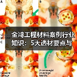金鸿工程材料案例行业知识:5大选材要点与常见场景(图1) 金鸿工程材料案例行业知识:5大选材要点与常见场景(图1)