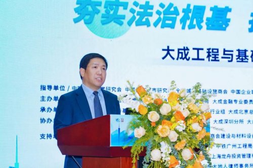 夯实法治根基 护航城市高质量发展 大成工程与基础设施2025年度论坛在粤港澳大湾区举办(图3)