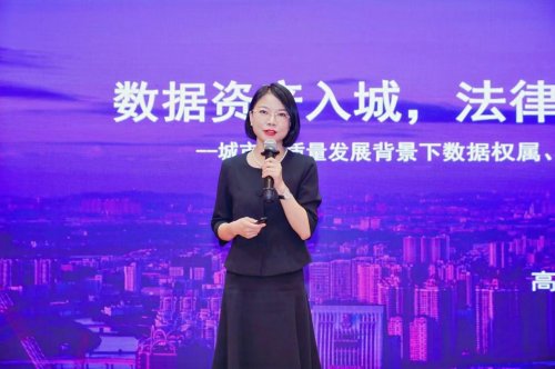 夯实法治根基 护航城市高质量发展 大成工程与基础设施2025年度论坛在粤港澳大湾区举办(图12)