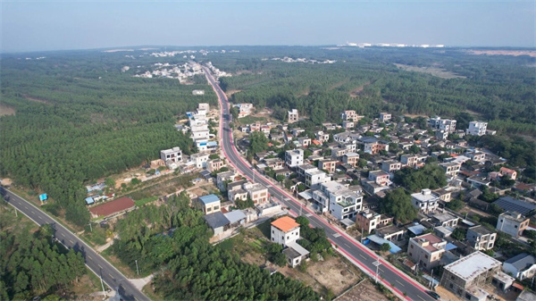 海南省道S291白新线改建1标项目顺利通过交工验收